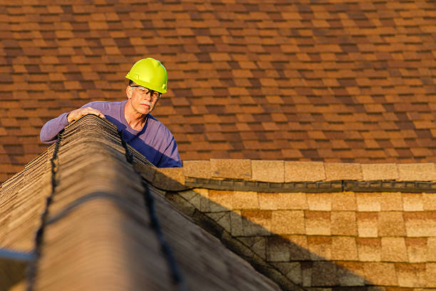 Roof Gutter Cleaning in Gadsden, AL